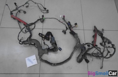 Проводка двигателя от Audi A6 C6, 4F 2004-2011 - купить Аксае