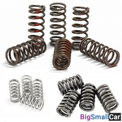 Пружины сцепления FERODO FSS0113