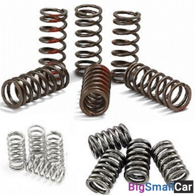 Пружины сцепления FERODO FSS0114