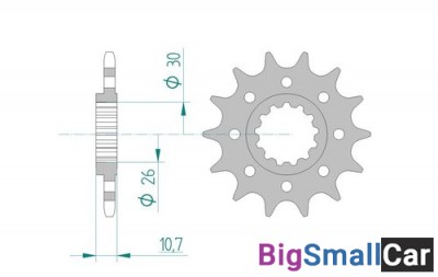 Звезда ведущая AFAM 21804-17 (JTF1579.17)  520 - купить Аксае