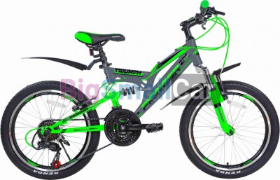Дорожные велосипеды PIONEER TRIUMPH 20/13 gray-green-black Дорожные велосипеды PIONEER TRIUMPH 20/13 gray-green-black